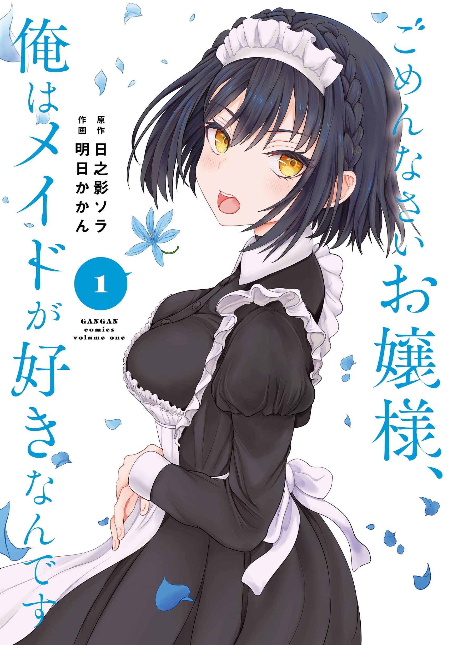 Gomennasai Ojou-sama, Ore wa Maid ga Sukinan desu  (Raw – Free)