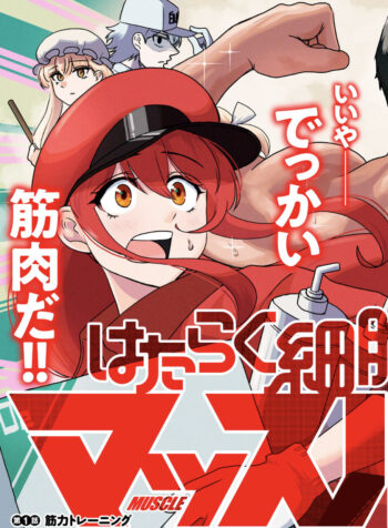 Hataraku Saibou Muscle (Raw – Free)