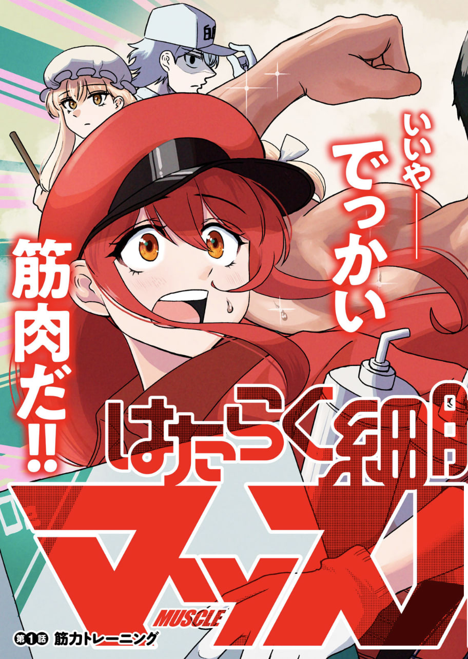 Hataraku Saibou Muscle (Raw – Free)